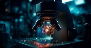 Правительство составило рейтинг научно-технологического развития регионов