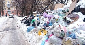 За чей счёт ликвидация помойки?