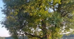 Понтоны из пластиковых гофрированных труб: надежные и универсальные