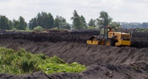 Экологическая поддержка Вашего бизнеса