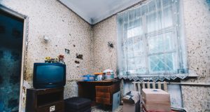 Маленькие, но дорогие