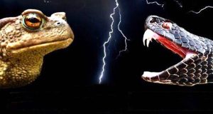 Знай свое место, банкир!