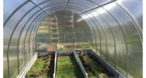 Усиленные арочные теплицы: современное решение для успешного выращивания растений