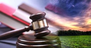 Строй или плати!