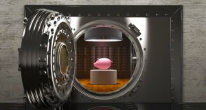 Профи по опустошению КФ