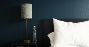 Минэкономразвития рассчитывает на продление программы строительства модульных отелей