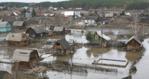 Более 250 участков подтоплено в Новосибирской области