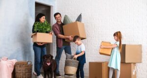 Рост и по вводу, и по продажам