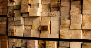 Госдума ввела штрафы за несоблюдение обязательных требований при обороте древесины