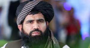 На трудовом рынке России могут появиться мигранты из Афганистана