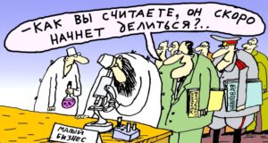 Амнистия для дробильщиков