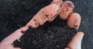 Песок и битум всё дороже