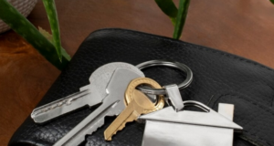 В Новосибирской области 1,3 тыс. дольщикам предоставили компенсации и жилье