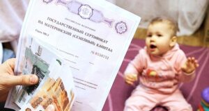 Как защитить зайкину лужайку?