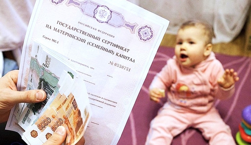 Как защитить зайкину лужайку?