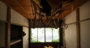 Госдума снизила минимальный гарантийный срок квартир от застройщика до трех лет