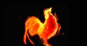 Кстати, о «птичках»