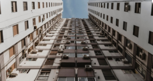 ПИКовейник вместо школы и детсада!