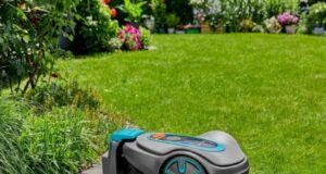 5 инновационных садовых инструментов, которые упростят вашу жизнь!