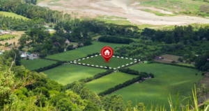 Нарушения выявлены более чем на 100 тыс. земельных участков в Подмосковье