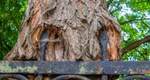 От сумы и РНП не зарекайся…