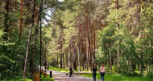 ГПЗУ раздора