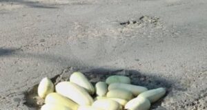 В Орловской области ямы на дорогах ремонтируют кабачками вместо асфальта