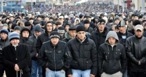 За мигрантов возьмутся всерьёз