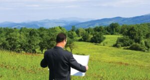 Два года – долго, год – в самый раз