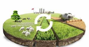 Без возможности злоупотребления