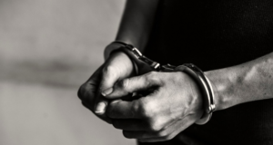 Арестованы еще два фигуранта дела о мошенничестве застройщика в Туле