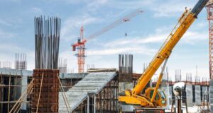 Растут важные для страны площади