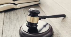 Экс-главу управления мэрии Владивостока будут судить за махинации с землей