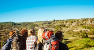 Более 19 тыс. га для туробъектов выявили в РФ по проекту «Земля для туризма»