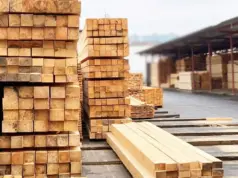 Пиломатериалы: Всё, что нужно знать перед покупкой и использованием