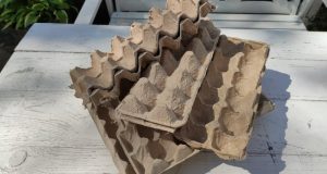У меня яичные лотки не пропадают зря. Делаю из них кирпичики и украшаю дом